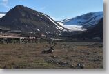 longyearbyen10.jpg